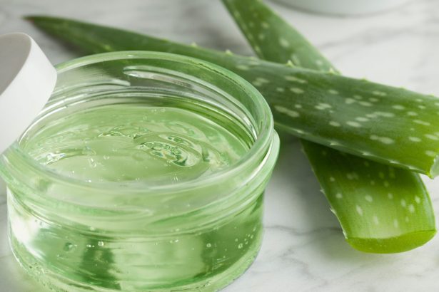 Benefits of Aloe Vera Gel DIY Hair Masks for Beautiful Hair