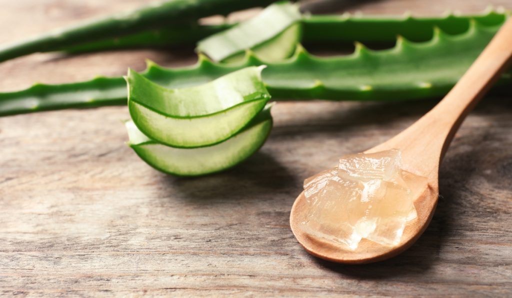 Benefits Of Aloe Vera Gel For Different Hair Types