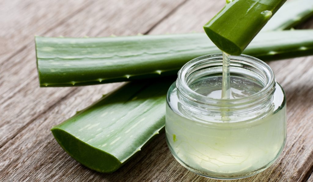 Benefits Of Aloe Vera Gel For Different Hair Types (7)