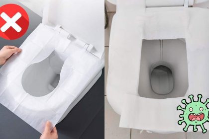 Why You Should Never Line Your Toilet Seat With Paper